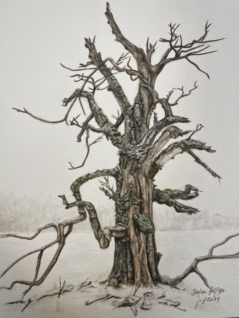 Baum_11.jpg