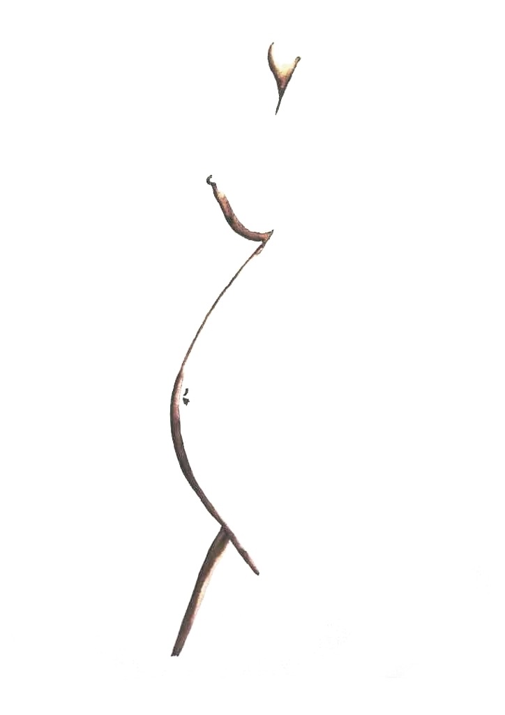 Baby_02.jpg
